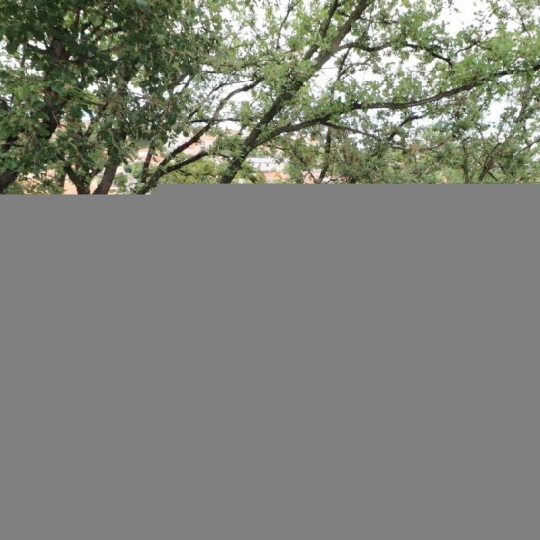  Annonces ARGELES : House | BANYULS-DELS-ASPRES (66300) | 143 m2 | 249 000 &euro; 